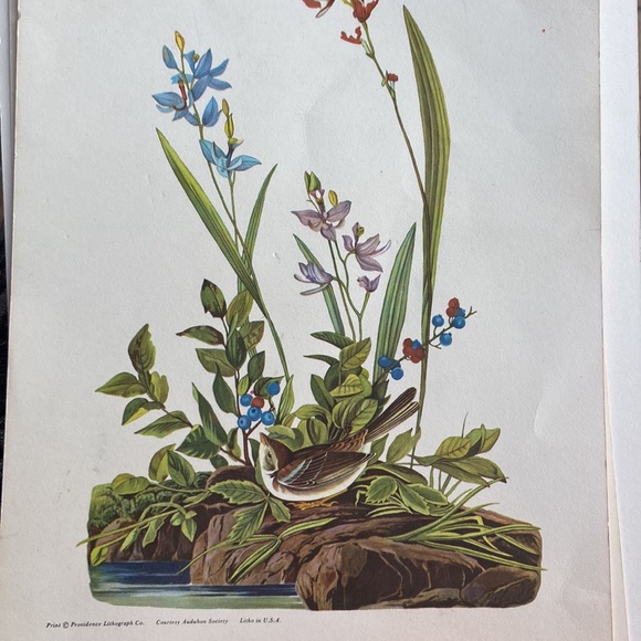 Baptist Training Union Teaching Pictures for Beginners. 1961, 1963 (Set of 5) - Picture 5 of 12